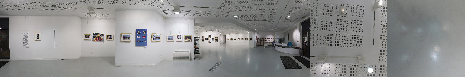 Visite virtuelle de l'exposition photo 2014